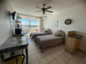 Charmant T2 avec balcon, clim et animaux admis à Balaruc-les-Bains - FR-1-503-85